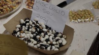 In archivio con successo la quindicesima edizione di “Chiamata a raccolto”