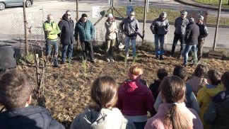 A Feltre a cerimonia annuale “Fratello Albero”: piantato un albero per ogni nuovo bambino