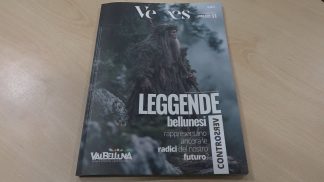 Gli approfondimenti del numero di Novembre de “Il Veses”