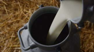 Cala il prezzo del latte. Confagricoltura: “Situazione inusuale e rischiosa”