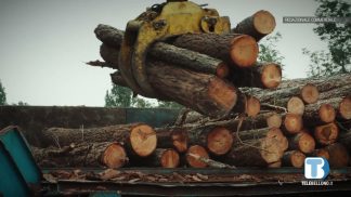 Speciale CIFORT 2025