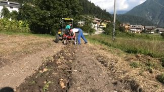 Cia Veneto contro il taglio della dotazione della Pac: “Manifesteremo a Bruxelles”