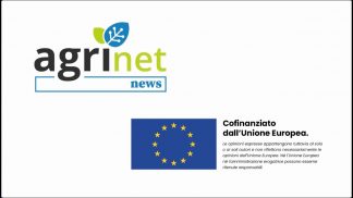 AGRINET NEWS: Automatizzazione e efficienza energetica nell’allevamento da carne