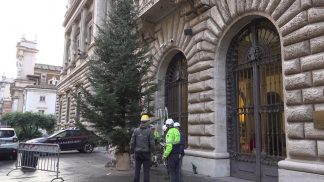 Natale dolomitico tra i palazzi romani: recapitati nella città eterna 8 abeti bellunesi