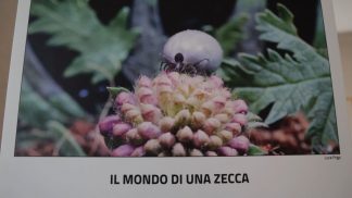 Sicurezza e prevenzione in primo piano nell’ambito di Oltre le vette: focus sulle zecche