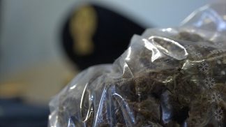 Hashish, marijuana, cocaina, Lsd, ecstasy e funghi allucinogeni in casa: indagato un 32 enne