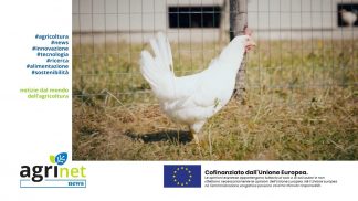 AGRINET NEWS: La tecnologia per il benessere animale