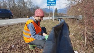 Volontari al lavoro per la salvaguardia degli anfibi