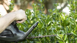 Manutenzione del verde: la campagna del Comune di Belluno
