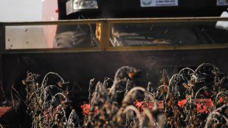 A Casa Veneto spazio ad agricoltura e inclusione