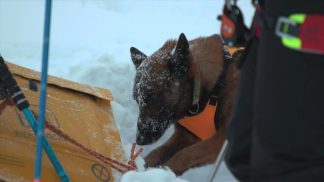Cocluso il corso a Col Gallina: nuove unità cinofile da valanga per il Soccorso alpino