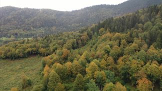 Dalla Regione nuove risorse per la viabilità forestale