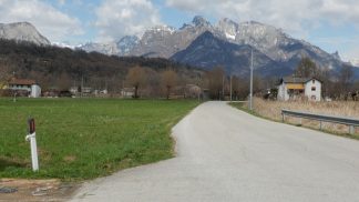 Muore a 12 giorni dall’investimento: Sedico piange Katia Moret