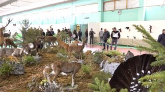 A Longarone Fiere Dolomiti ritorna “Caccia, Pesca e Natura”
