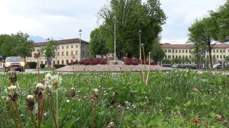 Feltre: rotonde ai privati per cura e decoro