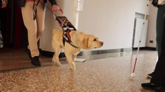 Il bilancio 2025 e le attività 2026 nell’assemblea dell’Unione Ciechi e Ipovedenti di Belluno