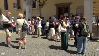 Italia Nostra sul taglio di altri alberi in via Feltre: “Ecco perché abbiamo presentato ricorso”