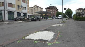 De Pellegrin sul caso degli alberi di via Feltre: “Belluno può permettersi di rinviare ancora?”