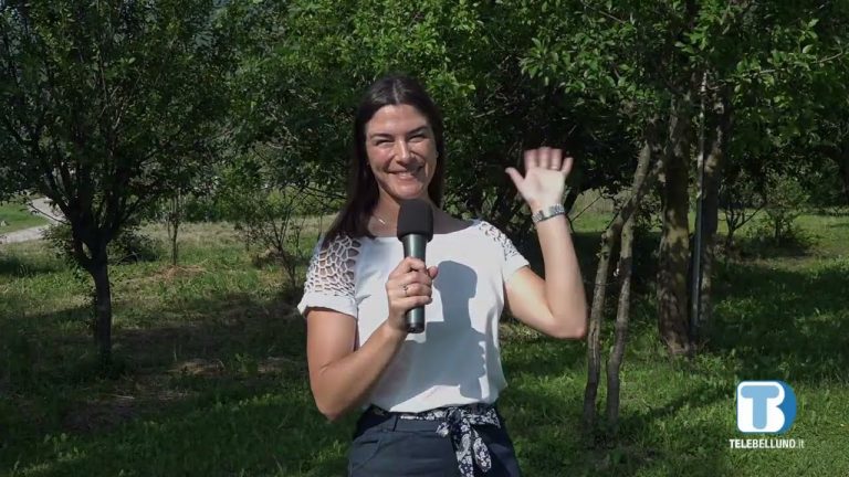 Setteville-Segusino
