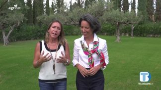 Agrinet – Il futuro in campo (2026) – P1: Donnafugata