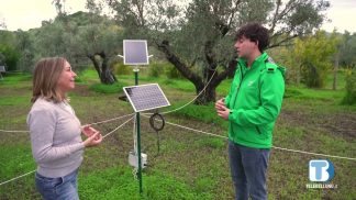 Agrinet – Il futuro in campo (2026) – P3: Plant Voice