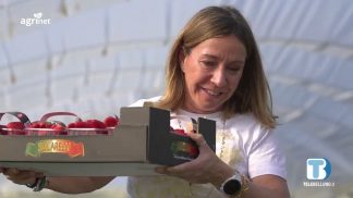 Agrinet – Il futuro in campo (2026) – P5: Le fragole di Scanzano Jonico