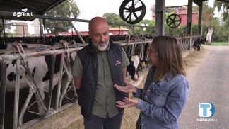 Agrinet – Il futuro in campo (2026) – P6: L’allevamento sostenibile di Maccarese