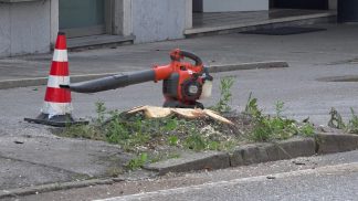 Dopo Via Feltre, taglio degli alberi anche in Viale Fantuzzi: si accende il dibattito