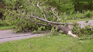 Alberi abbattuti e edifici scoperchiati, gli effetti del maltempo di mercoledì in provincia
