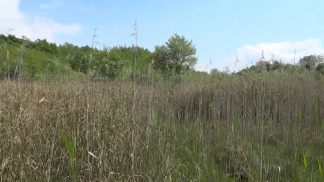 Nuove azioni del Comune di Feltre per valorizzare la Torbiera di Lipoi