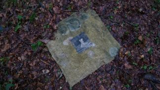 Cansiglio, l’arte under 25 nella foresta contro la frenesia contemporanea