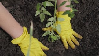 Biodistretto “Terre Bellunesi”: tutela del territorio e promozione di eventi culturali