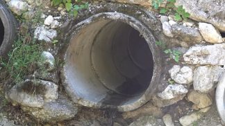 Siccità: la situazione peggiora, ma in pianura si sorvegliano gli abusi nelle coltivazioni intensive