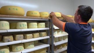 Le Regole e l’esperienza delle malghe: l’esempio di Malga Pien de Vacia