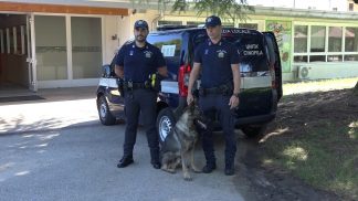 Belluno, debutta Grey: il cane antidroga della nuova unità cinofila