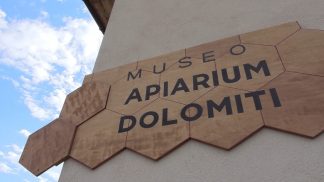 Ai piedi delle Dolomiti nasce un museo dedicato alle api