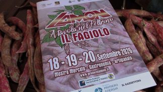 Fagiolo di Lamon, produzione in ginocchio per il caldo: il raccolto va all’asta