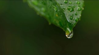 Agricoltura di montagna: l’emergenza acqua resta al centro